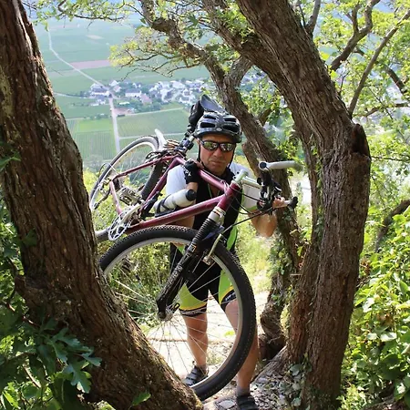 Willwert Apartament Klusserath