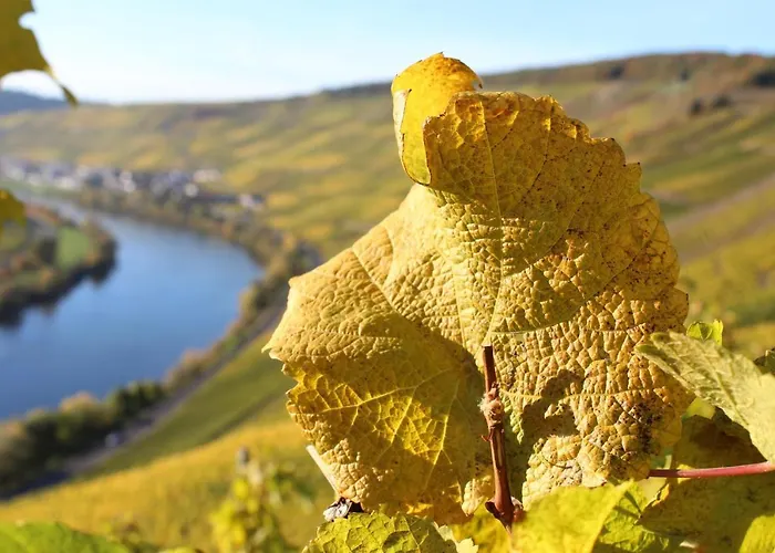 Apartment Willwert Klusserath